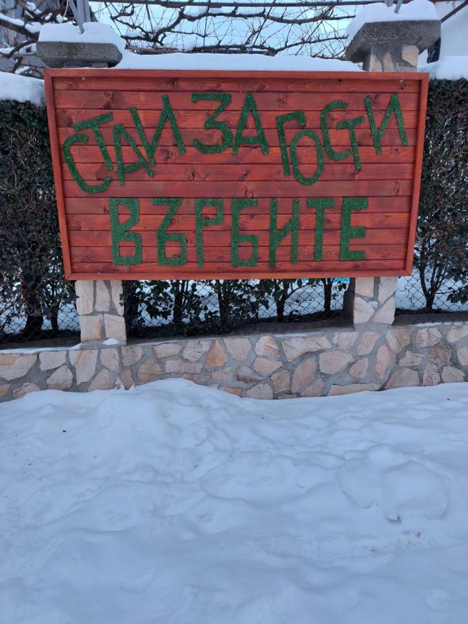 Стаи За Гости Върбите Sapareva Banya Extérieur photo