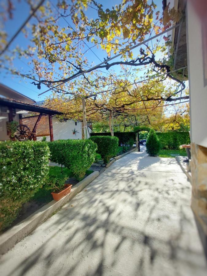 Стаи За Гости Върбите Sapareva Banya Extérieur photo
