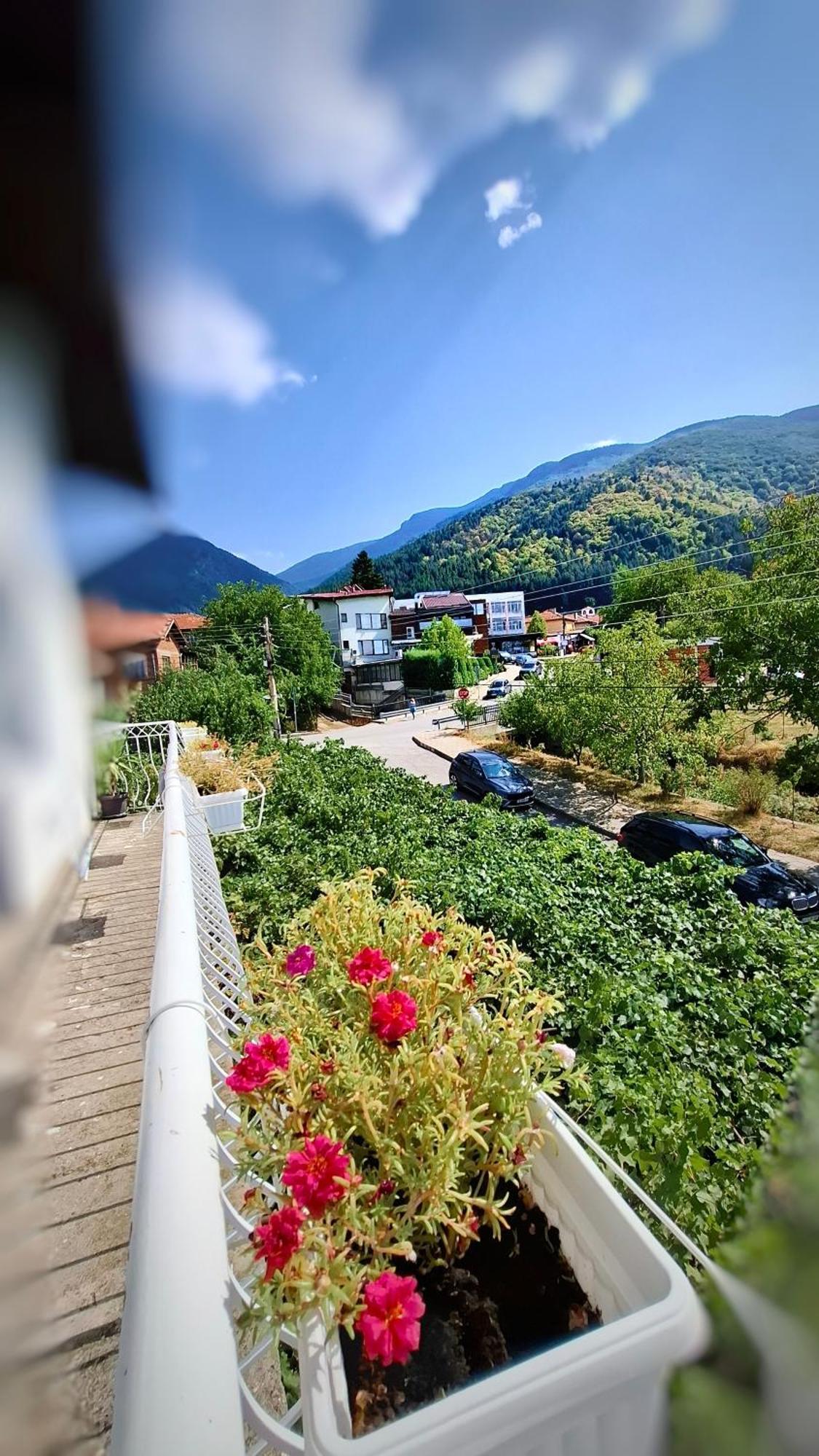 Стаи За Гости Върбите Sapareva Banya Extérieur photo